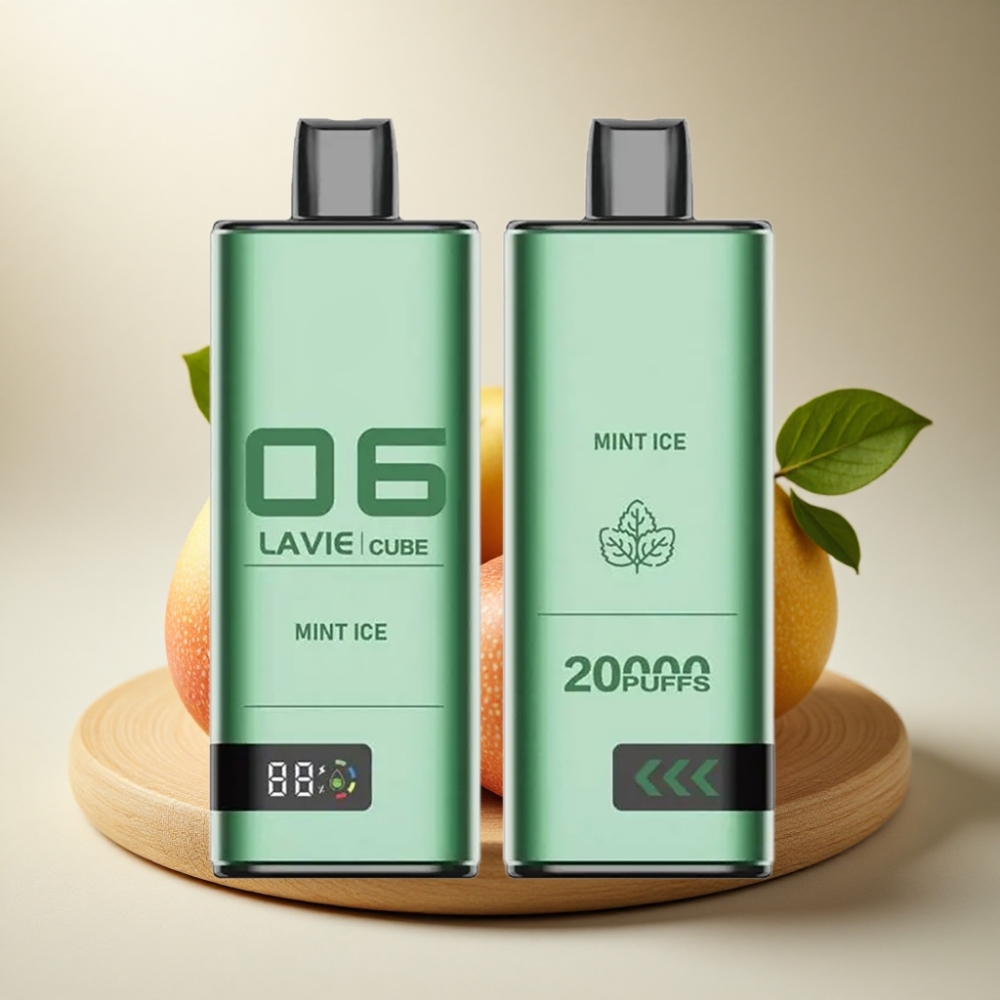Lavie Cube 20000 Puffs Jednokratna vape Mint Ice 28ML 5% Type C