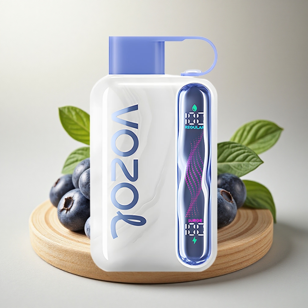 VOZOL STAR 40000 Puffs 1000mAh Type-C Borovnica Metvica Jednokratna vape