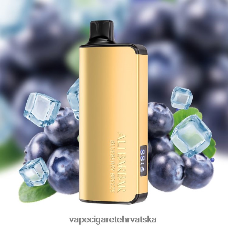 Jednokratni Vape Hrvatska - Alibarbar Ingot 20000 vape za jednokratnu upotrebu borovnica povjetarac DV220032