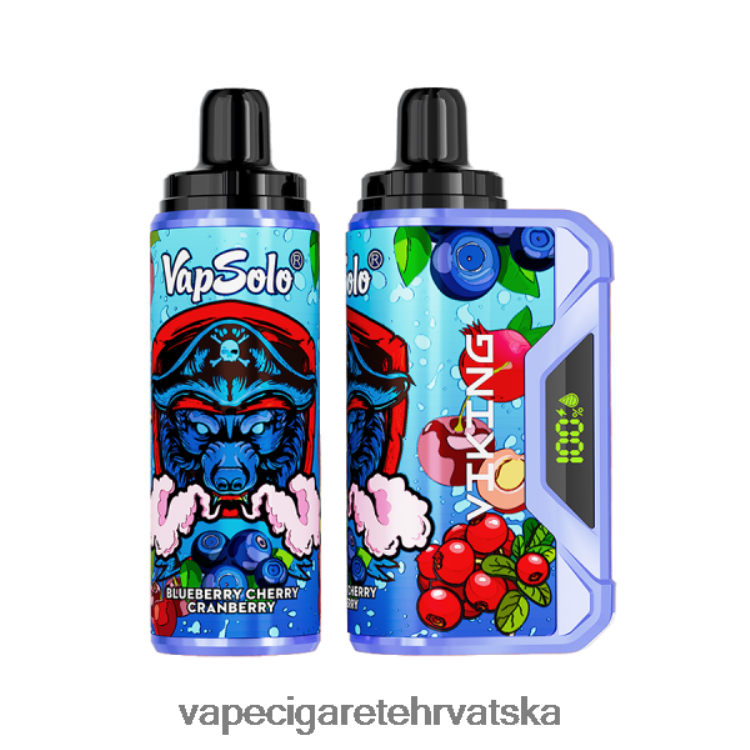 Vape 10000 Puffs - Vapsolo VIKING jednokratni vape borovnica trešnja brusnica DV2200149