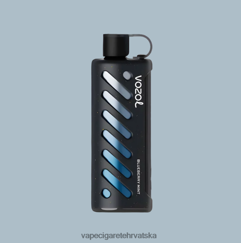 Jednokratni Vape Hrvatska - VOZOL oprema za nargilu 25000 46L6R81