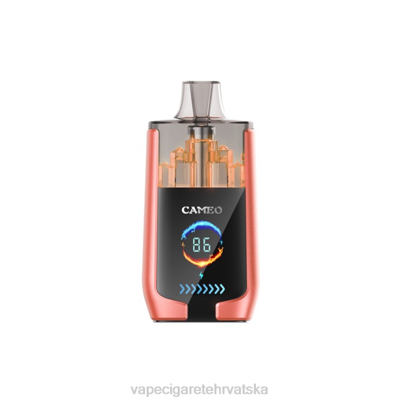 Vape 10000 Puffs - LAVIE CAMEO 30000 udaha jagoda lubenica X44024