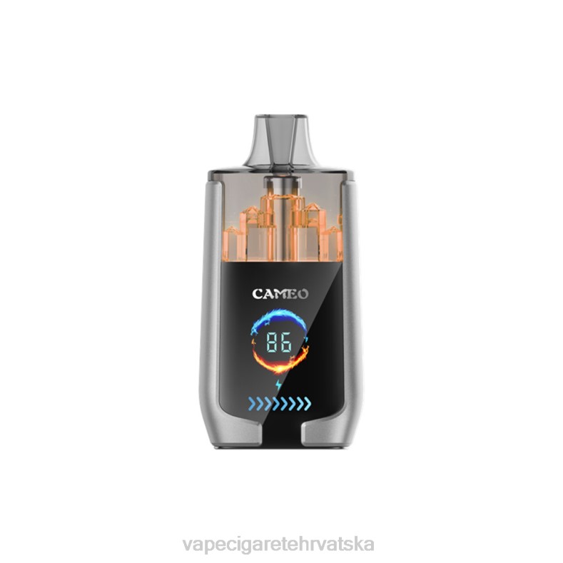 Vape Pen - LAVIE CAMEO 30000 udaha led od borovnice X44015