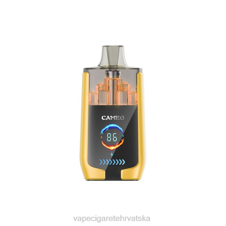 Vape Shop Zagreb - LAVIE CAMEO 30000 udaha led od manga X44021
